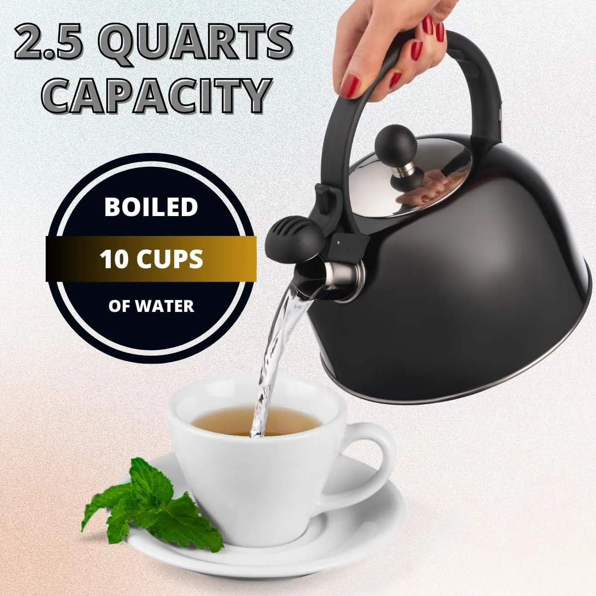 2.5 Liter Whistling Tea Kettle - Modern Stainless Steel Whistling Tea Pot for Stovetop Hot Water Boiler with Cool Grip Ergonomic Handle (Black, 2.5 Liter)