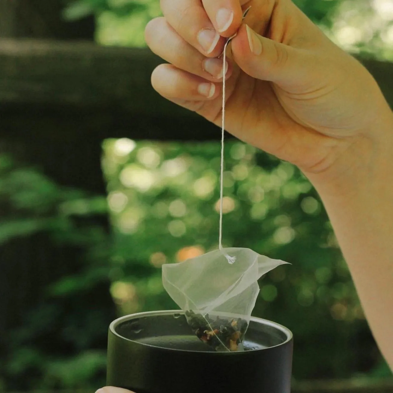 Jasmine Green Tea Individually Wrapped Tea Bag